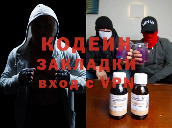 индика Иннополис