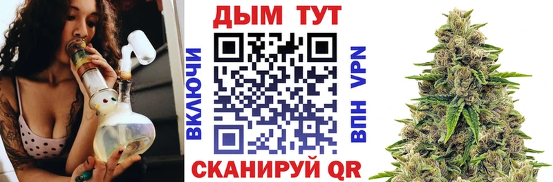 купить закладку  Камбарка  Канабис Amnesia 